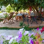 Deniz 3*