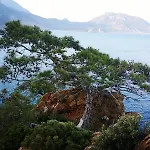 Maison d'hôtes Deniz 3*