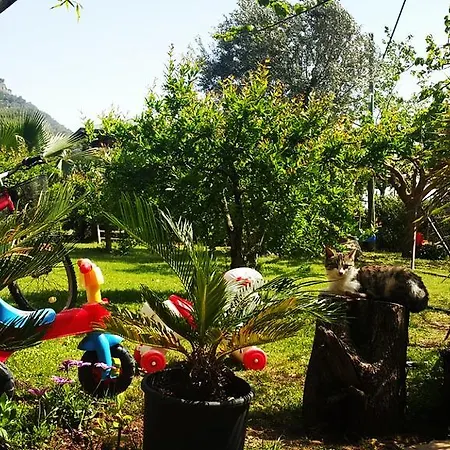 Adrasan Deniz Hotel
