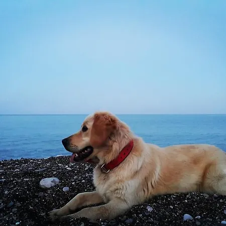 Adrasan Deniz Hotel