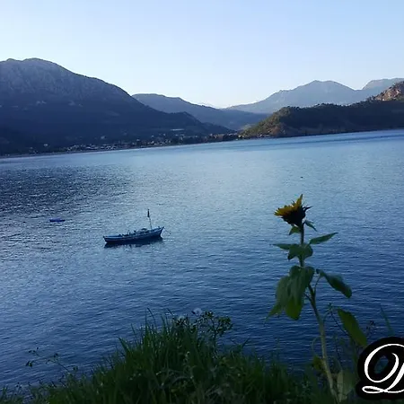 بيت ضيافة Deniz