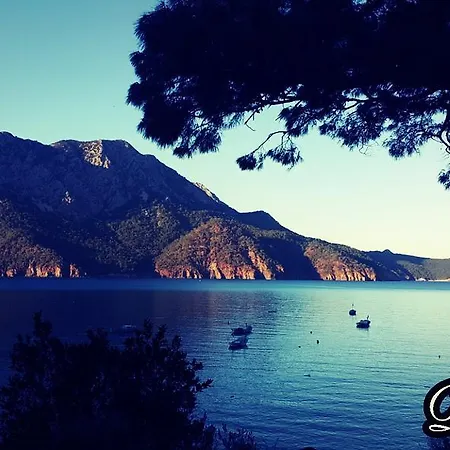 بيت ضيافة Deniz