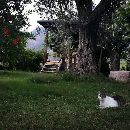 Adrasan Deniz Hotel Gasthof 3*