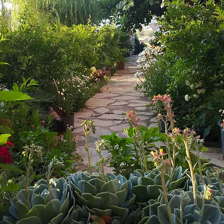 Adrasan Deniz Hotel Gasthof