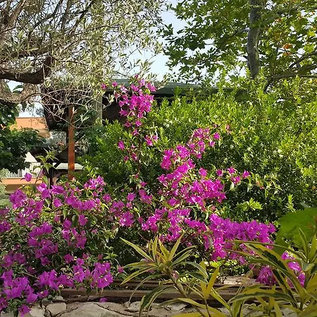 Adrasan Deniz Hotel Adrasan