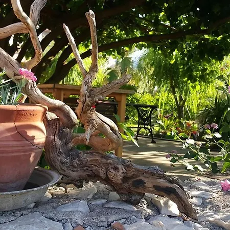 Gasthof Adrasan Deniz Hotel 3*