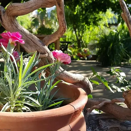 Adrasan Deniz Hotel Adrasan