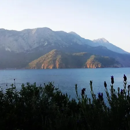 Guest house Adrasan Deniz Hotel