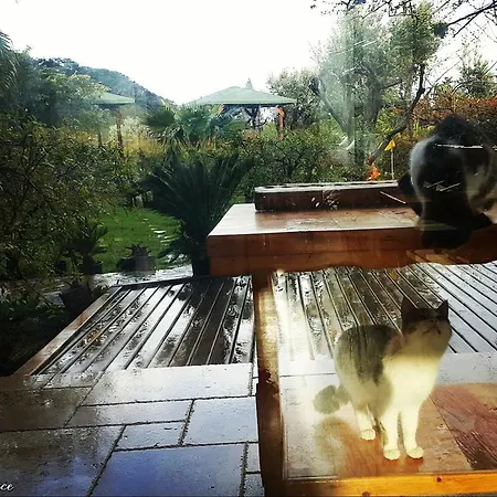 Gasthof Adrasan Deniz Hotel Adrasan