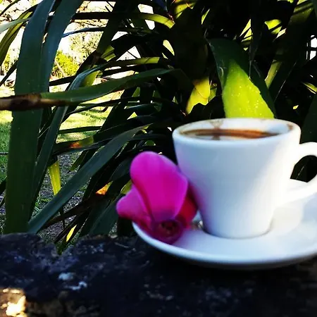 Adrasan Deniz Hotel Adrasan