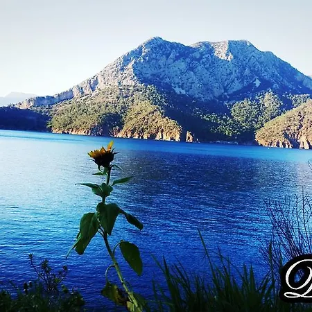 Gasthof Adrasan Deniz Hotel 3*