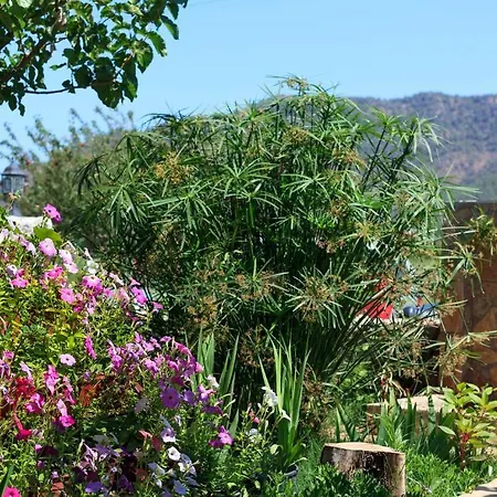 Gasthof Adrasan Deniz Hotel 3*