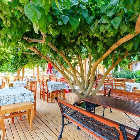 Guest house Adrasan Deniz Hotel