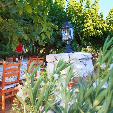 Adrasan Deniz Hotel Guest house Adrasan