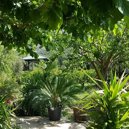 Deniz Pensjonat
