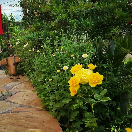 Guest house Adrasan Deniz Hotel Adrasan