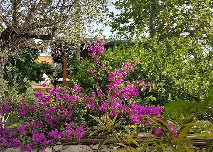Deniz أدراسان