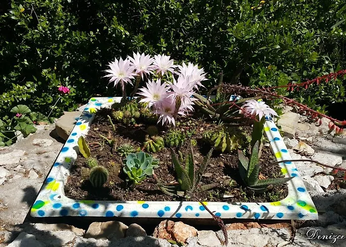 Πανσιόν Deniz Adrasan