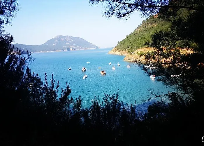 Deniz أدراسان
