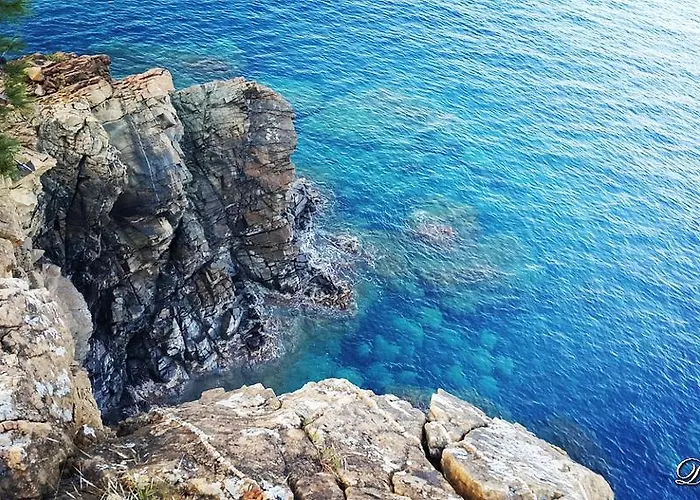 بيت ضيافة Deniz
