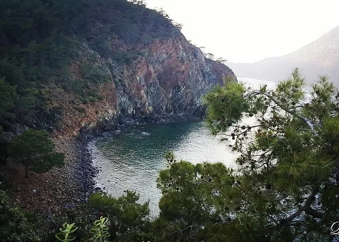 بيت ضيافة Deniz