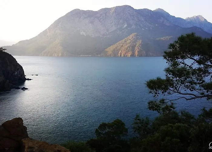 Deniz