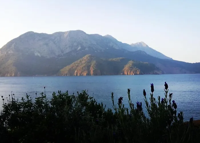 بيت ضيافة Deniz