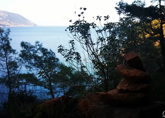 بيت ضيافة Deniz