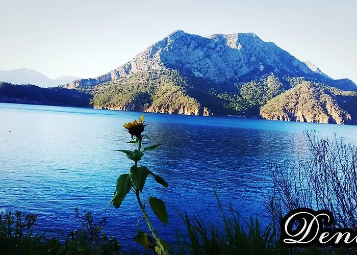 Πανσιόν Deniz 3*