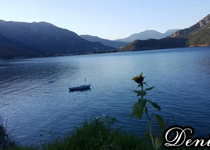 بيت ضيافة Deniz