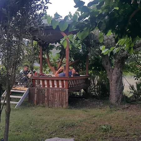 Deniz