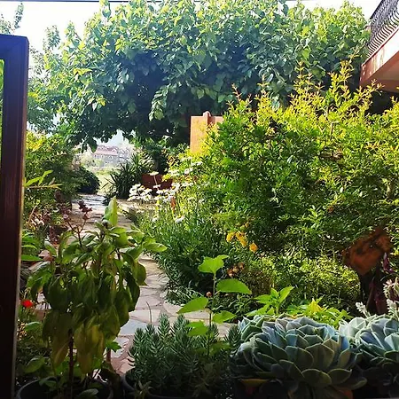 بيت ضيافة Deniz أدراسان