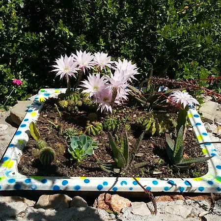 بيت ضيافة Deniz أدراسان