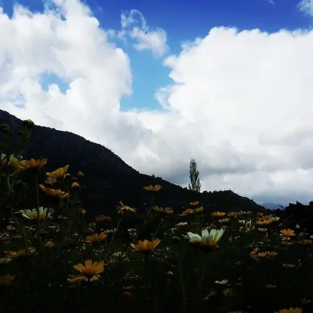 Deniz Adrasan