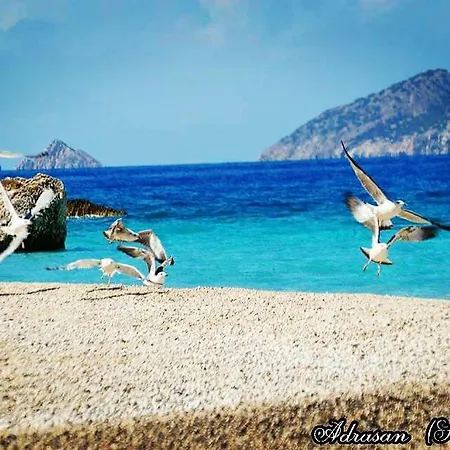 بيت ضيافة Deniz أدراسان