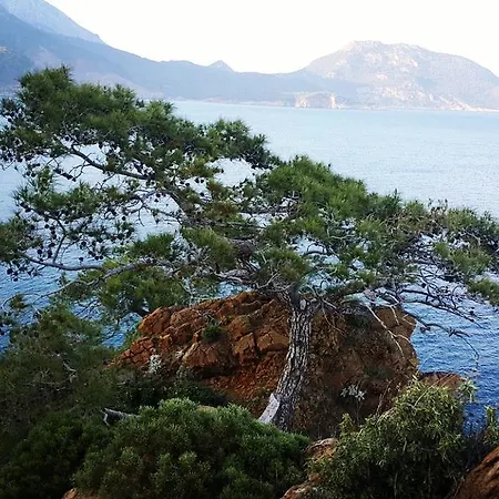 بيت ضيافة Deniz 3*
